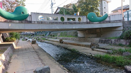 ツアー限定特別企画 ツアー限定特別企画