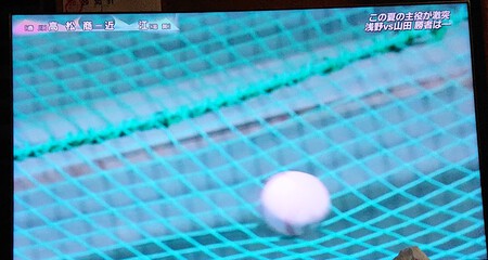ダディはマミーに怒られて ダディはマミーに怒られて