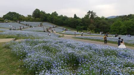 まんのう公園 まんのう公園