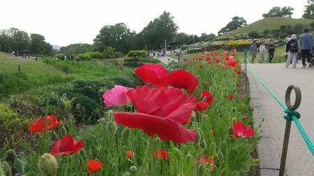 まんのう公園 まんのう公園