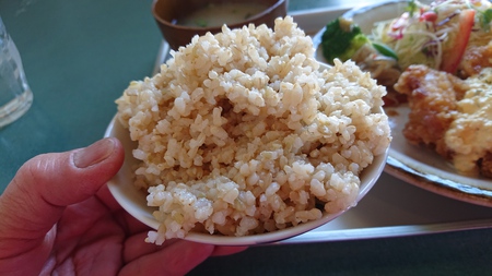 カフェ食堂ランプ 山地ファーム カフェ食堂ランプ 山地ファーム