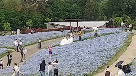 まんのう公園 まんのう公園