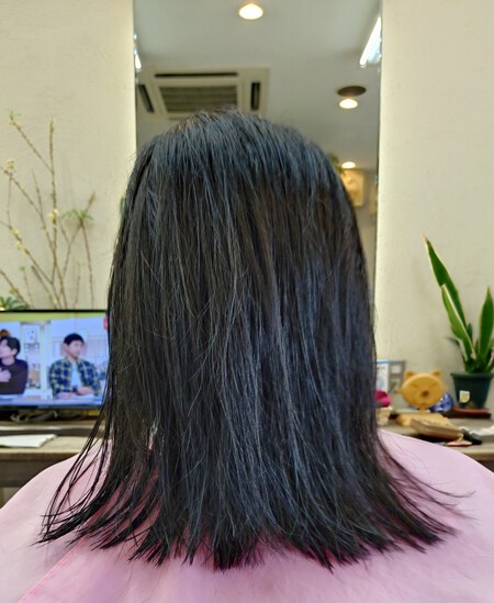 5年間で80cmに! 5年間で80cmに!
