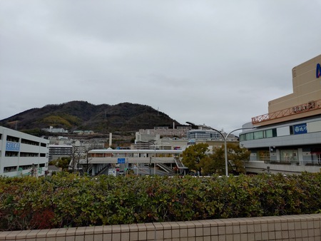 推し活 推し活