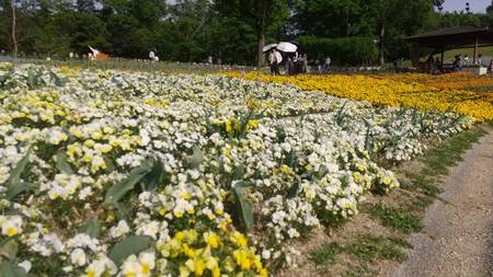 まんのう公園 まんのう公園
