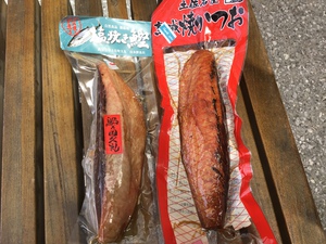 大月町に来ています! 大月町に来ています!