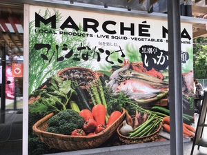 大月町に来ています! 大月町に来ています!