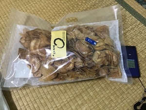 大月町に来ています! 大月町に来ています!