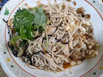 秋は新蕎麦なのかな? 秋は新蕎麦なのかな?