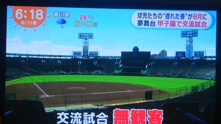 涙から明日へ 涙から明日へ