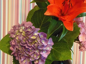7月の花