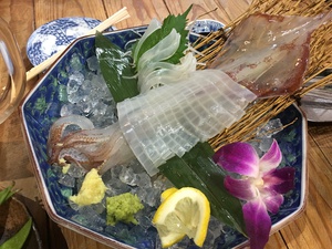 海寶 ★ MUCCA 海寶 ★ MUCCA