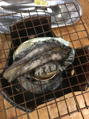 海寶 ★ MUCCA 海寶 ★ MUCCA