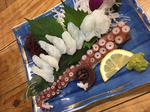 海寶 ★ MUCCA 海寶 ★ MUCCA
