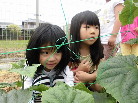 【あさがお保育園】夏の日の過ごし方 【あさがお保育園】夏の日の過ごし方