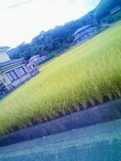 雨・雨・雨・・・・・