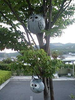 090530ご近所探訪:高松東IC下り口