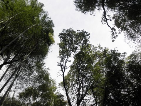 堤山景観保全プロジェクト始動