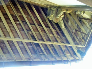扇を持った禅さんの屋根☆―扇垂木