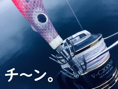 烏賊 ノ 六 烏賊 ノ 六