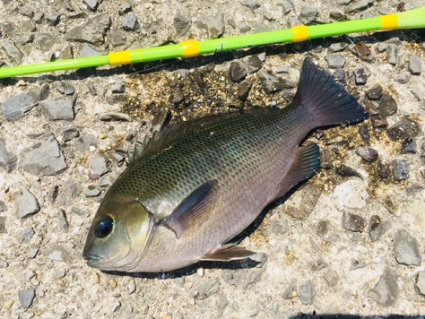 家族で釣りを満喫 家族で釣りを満喫