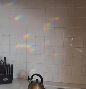 A House Full of Rainbows