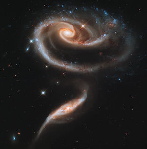 Rose Galaxy Rose Galaxy