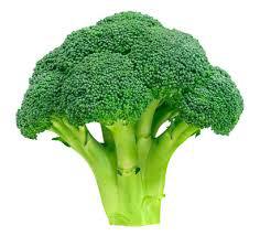 broccoli broccoli
