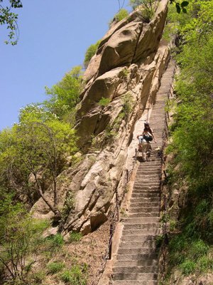 To Climb or Not To Climb