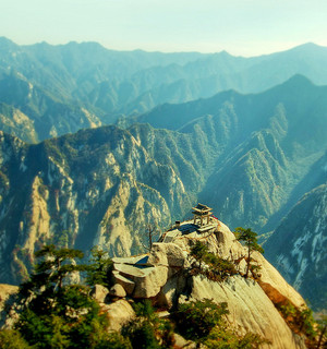 To Climb or Not To Climb
