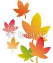 2013年11月例会報告
