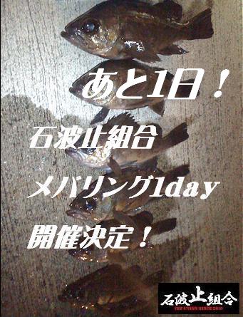 大会事項