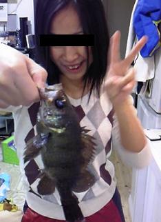 ダークホース