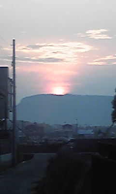 お散歩の途中に・・・もうすぐ7月