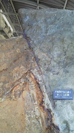 野島断層を見てきました!