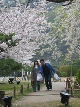 お花見参加者