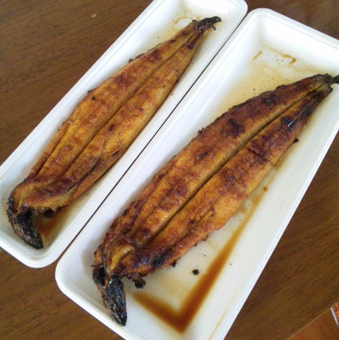 さらば玉ねぎの国