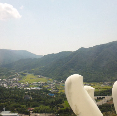 海行きたいな