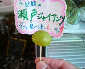 たっぷり、がっつり