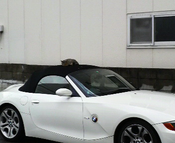 今、関西がアツイじゃな~~い