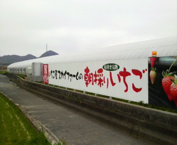 赤鬼はえらい事になっとんちゃうかね~