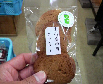 あ、関所行ってない