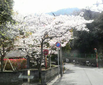 なんちゃでない日