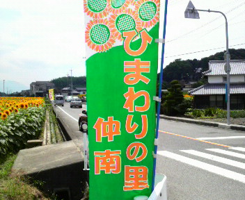 向日葵の海