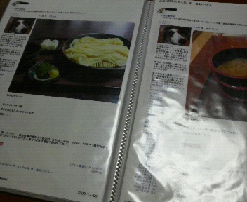土佐麺堪能日和~~~