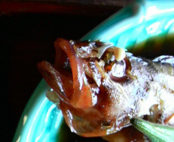 昼飯食いに行っタンカイ!?