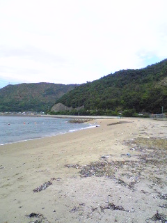 海〜海〜♪