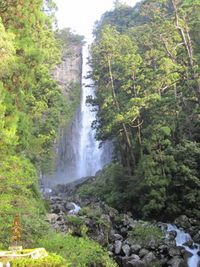書かねばなるまい、奥熊野60kmマラソン