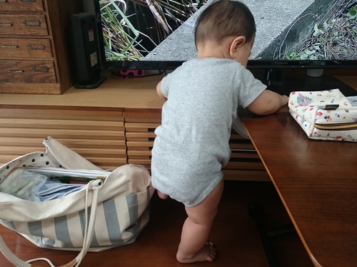 今日の僕 今日の僕
