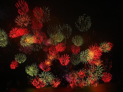 夏が終わる・・・思い出の花火画像13枚